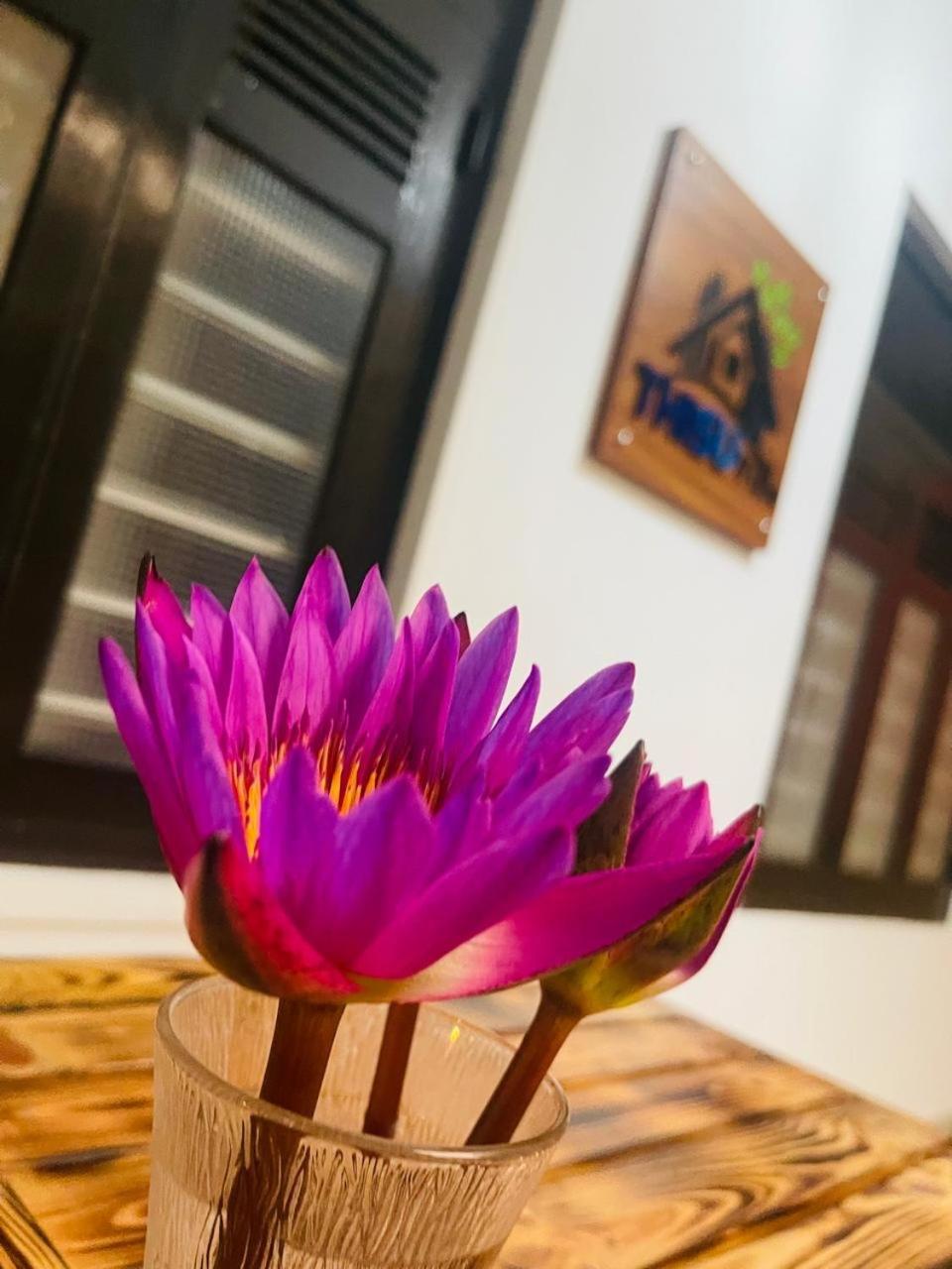 ديكويلاّ تين Thisu Villa المظهر الخارجي الصورة
